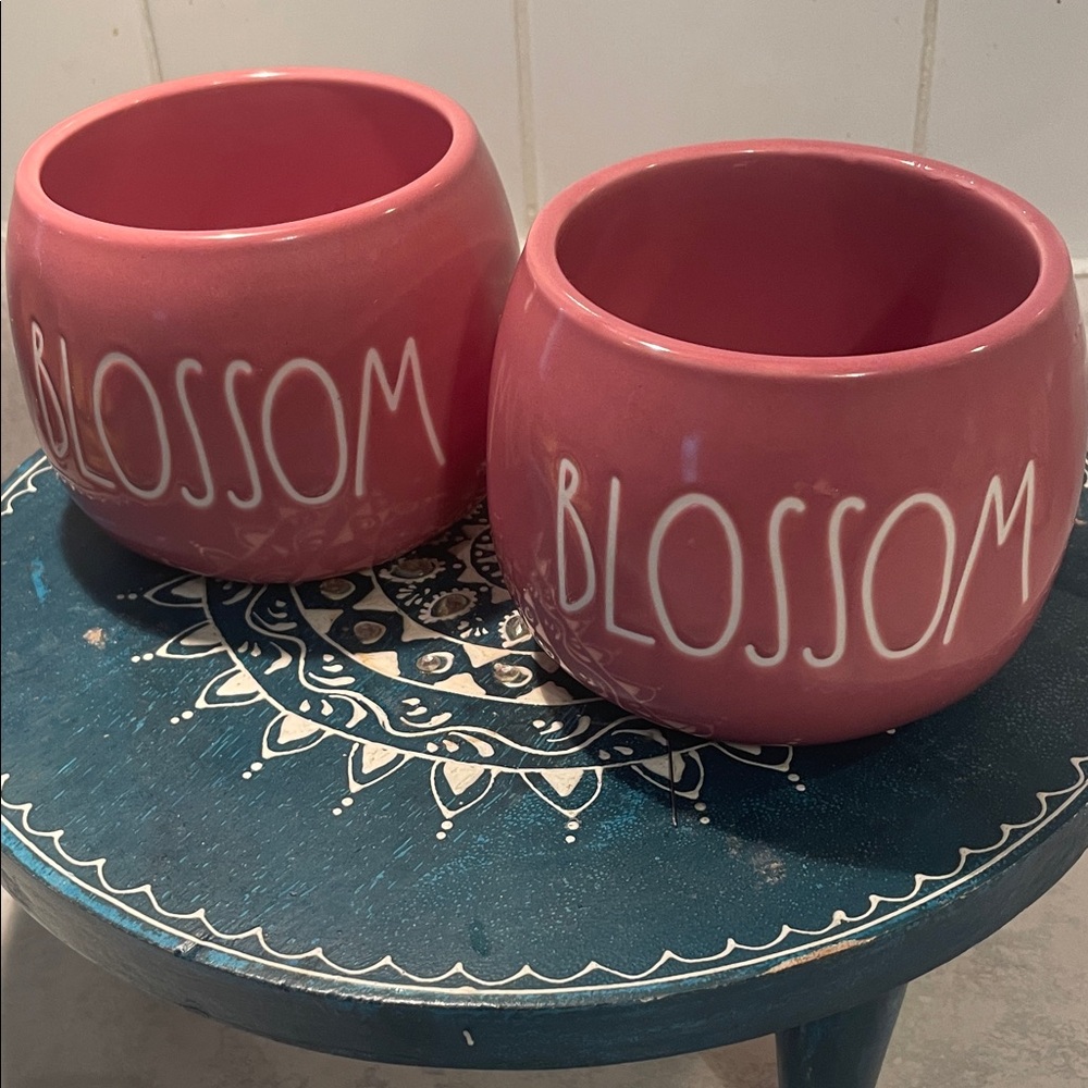 Rae Dunn “Blossom” Ceramic Planters